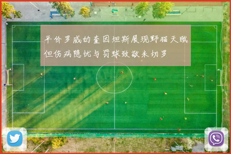 平价罗威的奎因坦斯展现野猫天赋但伤病隐忧与罚球致敬米切罗